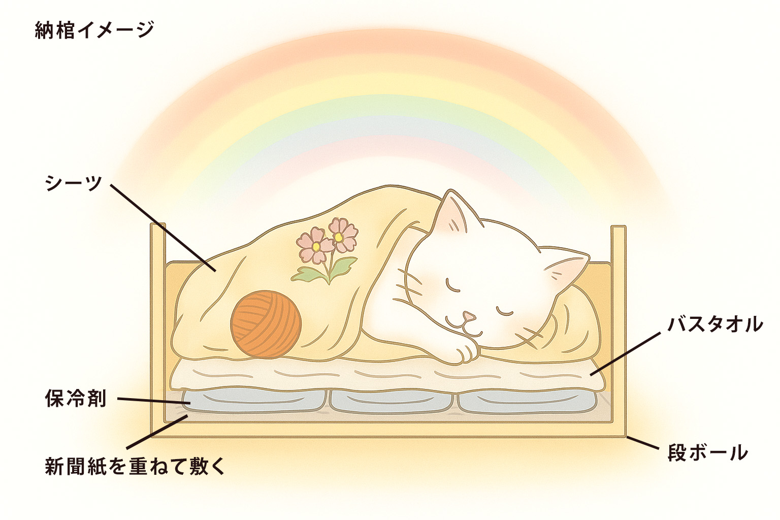 ペットネコの安置方法について